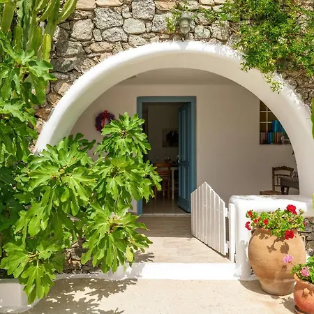 Afroditi Ftelia Gerani A Panormos (Mykonos)